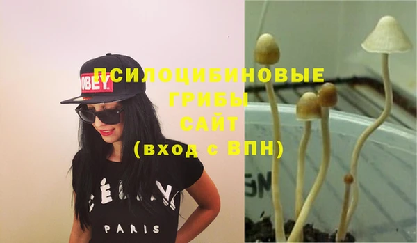 гашишное масло Богданович
