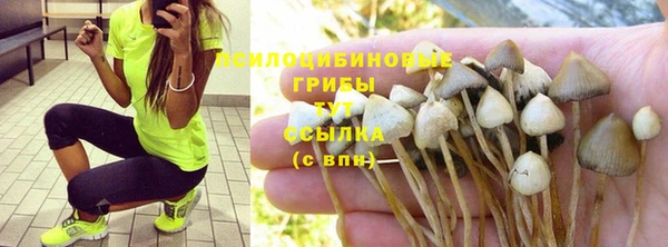 крисы Богородицк