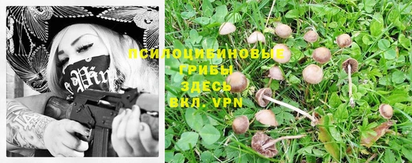 гашишное масло Богданович