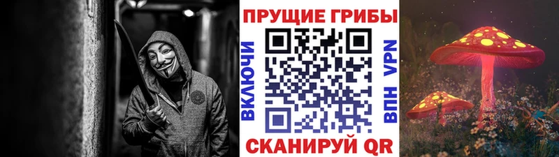 магазин продажи наркотиков  Подольск  Псилоцибиновые грибы мухоморы 